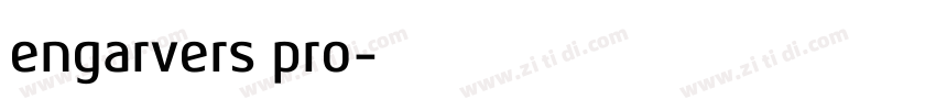 engarvers pro字体转换